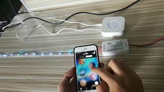 RGBCCT ZIGBEE LED controller works with Philips hue [upl. by Ahsel]