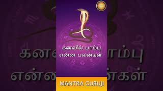 கனவில் பாம்பு வருவது என்ன பலன்கள்  Mantra Guruji [upl. by Elocim360]