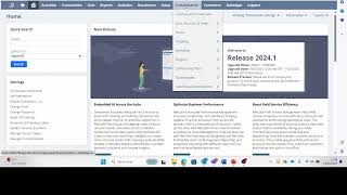 Tips on how to test netsuite new release 20241 [upl. by Nekciv]