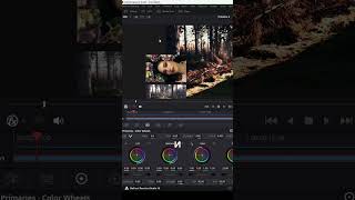 Как скопировать цветокоррекцию с картинки на видео  Davinci Resolve 19 [upl. by Nanon]