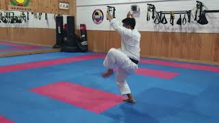 Arimoto Sensei JKS Ireland Honbu Dojo 2018 [upl. by Enram941]