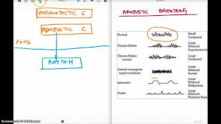 APNEUSTIC BREATHING [upl. by Atokad]