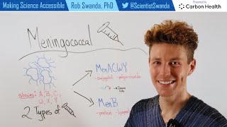 How the Meningococcal Vaccines MenACWY and MenB Bexsero Work [upl. by Subocaj]