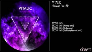 Vitalic  Second Lives Lifelike Remix [upl. by Eelarbed]