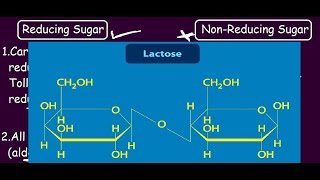 Reducing Vs Non Reducing Sugar  Lactose amp Maltose is a Reducing Sugar Sucrose is not Why [upl. by Nosrak]