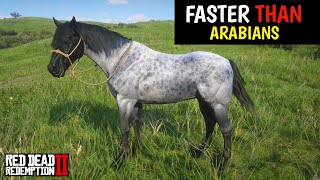 4 Horses faster than Arabains amp How to obtain them  Red Dead Redemption 2 [upl. by Tybalt]