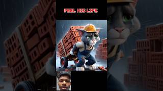 Cat Life cat caty funny cute catie funnycats smartcat [upl. by Abagail179]