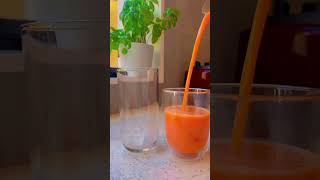 Quick Protein Mango Smoothie Recipe 🥭 [upl. by Lenny]