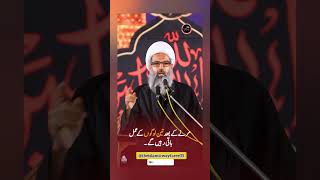 مرنے کے بعد تین راستے 🥀🙌❣️subscribe theislamicwayfarer05 [upl. by Aramad]