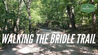 Walking Schenley Parks Bridle Trail in the Summer  Pittsburgh PA [upl. by Dorolisa664]