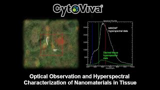 Imaging Nanoparticles in Tissue Using CytoViva Enhanced Darkfield Microscopy Webinar [upl. by Sheree]