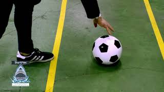 How Strong and Resistant SharkNet Is The Soccer Ball Test [upl. by Ailliw]