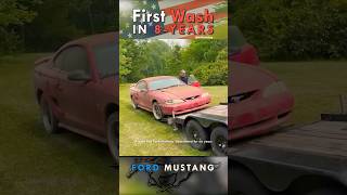 Abandoned Ford Mustang Barn Find Gets First Wash in 8 Years  Satisfying Car Detailing Restoration [upl. by Hazmah]