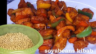 how to make soya beans kebabvery easy methodTUFU [upl. by Hulen]