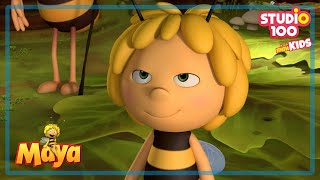 Maya has a plan  Maya the bee  Studio100 miniKIDS 🍯🐝🍯 [upl. by Odlonyer962]