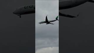 TRANSAVIA BOEING B7378K2 LANDING At Madeira Airport [upl. by Aubrie]