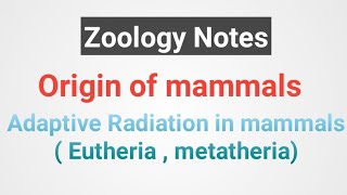 Origin of mammals  Adaptive radiation in eutheria metatheria notes [upl. by Harriot]