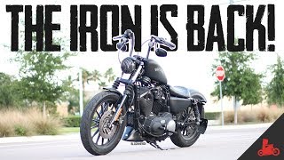 My ORIGINAL Harley Iron 883 is BACK [upl. by Attenohs]