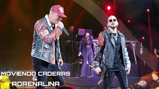 MOVIENDO CADERAS y ADRENALINA  WISIN amp YANDEL  Festival De Viña 2019 240219 [upl. by Aihseket847]