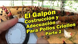 PARTE 2 CONSTRUCCIÓN Y ADECUACIÓN DEL GALPÓN PARA POLLOS CRIOLLOS PERUANOS [upl. by Carolyne]