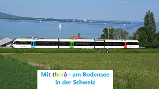 Schweiz Altnau Bodensee Thurbo🔃entlang am Bodensee mit Stadler FLIRT SBB RABe523 [upl. by Nyraf]