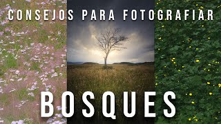 Mi mejor CONSEJO para FOTOGRAFÍA de BOSQUES 🌳  Fotografía de paisajes consejos y conceptos [upl. by Hilliary411]