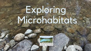 Fun Science Friday Exploring Microhabitats [upl. by Annais]