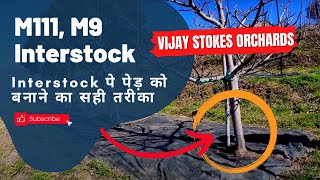 Final Part  Interstock क्या है  Interstock पे पेड़ को बनाने का सही तरीका [upl. by Willman81]