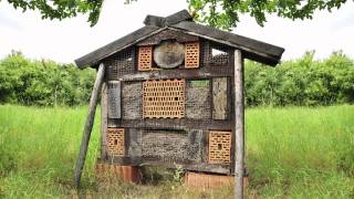 NABUInsektenhotels im Landkreis GroßGerau [upl. by Persian]