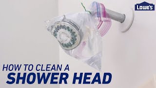 How To Clean a Shower Head and Shower Drain [upl. by Samuel]