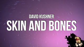 David Kushner  Skin and Bones Lyrics [upl. by Aihseken]