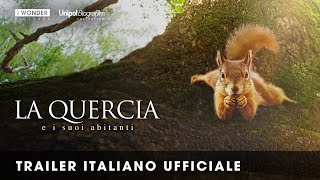 LA QUERCIA E I SUOI ABITANTI  Trailer italiano ufficiale HD [upl. by Hermina345]