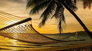 Guided Meditation Sleep Talk Down Sleeping Hammock Hypnosis for Sleep Relaxation [upl. by Regnij651]