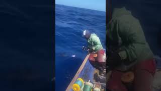 Catching Fish by Hand in the Middle of the Ocean – Incredible Fishing Skill [upl. by Rehoptsirhc]