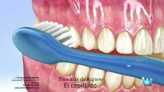 Cepillado seda dental y colutorios ¿cómo [upl. by Nagel]