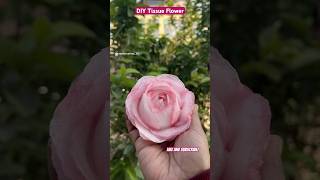 DIY Tissue Rose Flower  Day 33100 of ArtCraft Challenge shorts shortsfeed [upl. by Proctor]