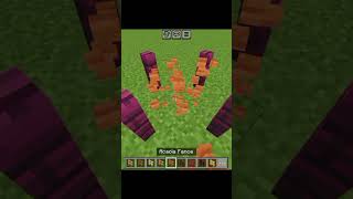 Neither wali fence ka sat asa kiu  minecraft viral game Moeezsial treanding [upl. by Eahcim]