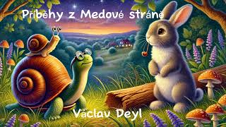 Příběhy z Medové stráně 🐌🐢 audiokniha  Václav Deyl  četba pro děti na pokračování 1 kapitola [upl. by Artimas]