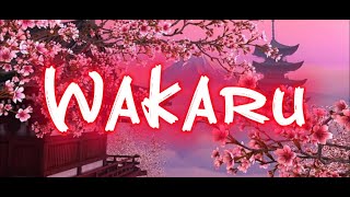 What is Wakaru 分かる [upl. by Werdnaed]