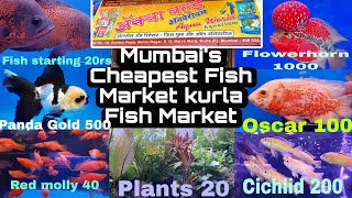 Kurla Fish Market Vlog  Exotic Fish  Lastest Update  2024 mumbai [upl. by Aicnerolf]