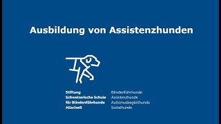 Ausbildung von Assistenzhunden – Ausziehen der Schuhe [upl. by Auhsoj382]