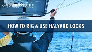 How To Rig and Use Halyard Locks With Gemlux Outriggers [upl. by Annaehr]