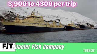 Glacier Fish Company 3900 to 4300 per trip Fishing and processing vessel [upl. by Pacificas]