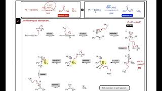 CADs Nitrile Hydrolysis Mechanisms – Acidic and Basic Hydrolysis Mechanisms [upl. by Karb283]