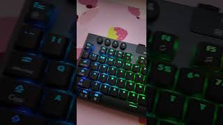 Unboxing amp Gaming ft Hexgears Immersion A3 Mechanical Gaming Keyboard  gamingkeyboard gaming [upl. by Newmann478]