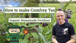 How to make Comfrey Tea Organic Plant Feed for Free [upl. by Leirum]