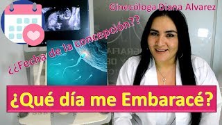 ¿QUÉ DÍA ME EMBARACÉ ¿CÓMO CALCULAR LA FECHA DE CONCEPCIÓN POR GINECOLOGA DIANA ALVAREZ [upl. by Norford]