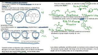 AMINAS EJERCICIOS RESUELTOS DE NOMENCLATURA [upl. by Bullen927]