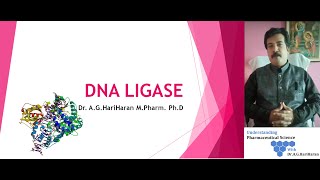 DNA Ligase  Joining of DNA [upl. by Arahs864]