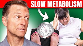 The Best Way to Fix a Slow Metabolism – Dr Bergs Expert Advice [upl. by Adiv]